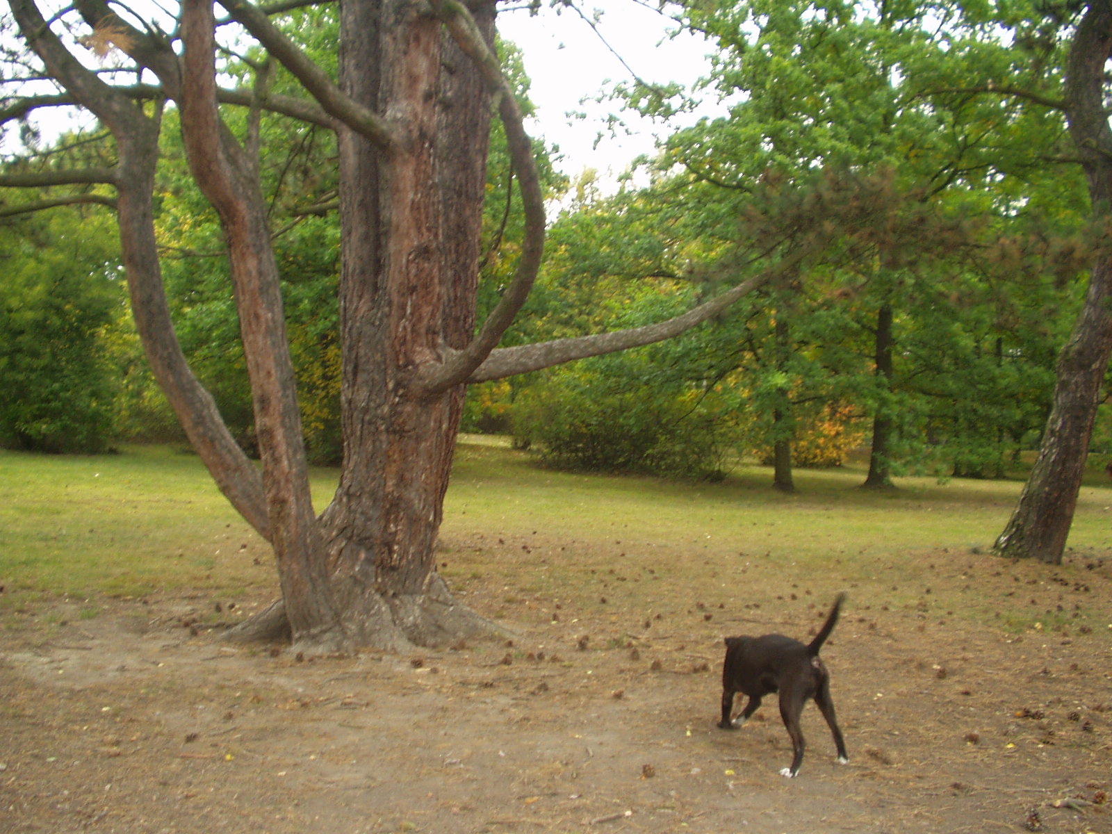 P1010042.JPG